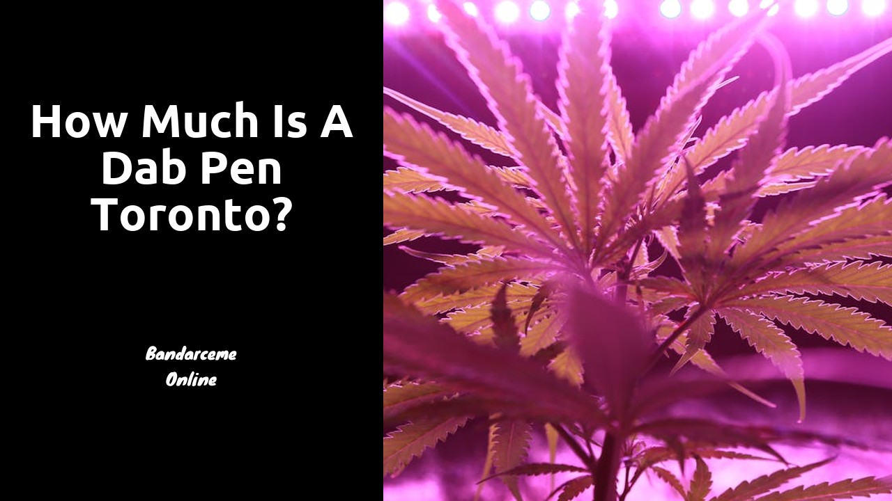 How much is a dab pen Toronto?